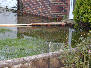 Flooded garden. Click for larger picture