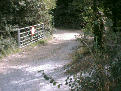 The gate in place ready to be shut the following day.