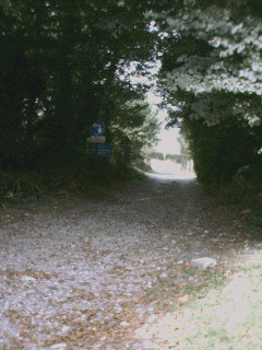 View looking north up Lambleys Lane before closure.