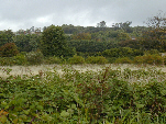 Malthouse Meadow