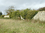 Malthouse Meadow