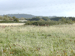 Malthouse Meadow