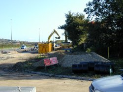 Dankton Lane, where tree removal has sparked a controversy