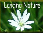Click here to visit the Lancing Nature Website